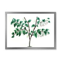 Дизајн на „Антички зелени лисја растенија I“ Традиционален врамен уметнички принт