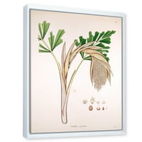 Дизајнрт „Антички растителен живот XV“ Фарма куќа врамена платно wallидна уметност печатење
