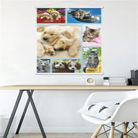 Кит Кимберлин - Кученца И Мачиња Колаж Ѕид Постер Со Магнетна Рамка, 22.375 34