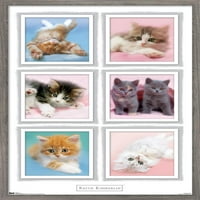 Кит Кимберлин - Мачиња Ѕид Постер, 14.725 22.375